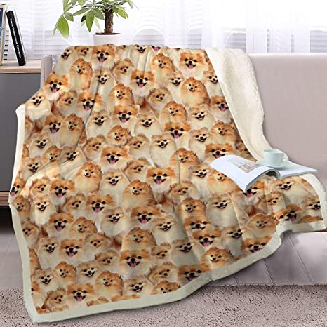 Blessliving Pomeranian Throw Blanket Fuzzy Dogs Blanket for Kids People Cute Puppy Fleece Blanket Reversible Animal Pattern Sherpa Couch Throw (50 x 60 Inches)