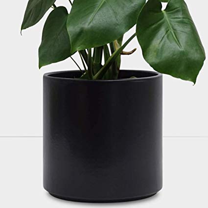 PEACH & PEBBLE Indoor Plant Pot (12.5", 10.5", 8.5", 6.5") - Black Terracotta Planter, Perfect for House Plants - Available in White, Black, Bronze, and Blush (8.5", Black)