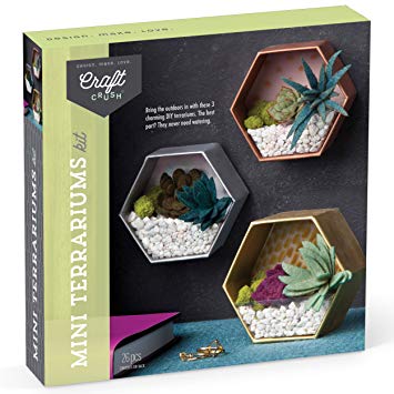 Craft Crush – Mini Terrariums Craft Kit – Make 3 Geometric Terrariums with Colorful Felt Succulents