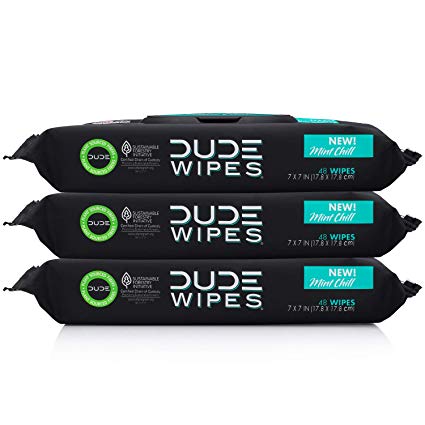 Dude Products Flushable Wet Wipes Dispenser (48 Wipes), Mint Chill Scented, 3Count