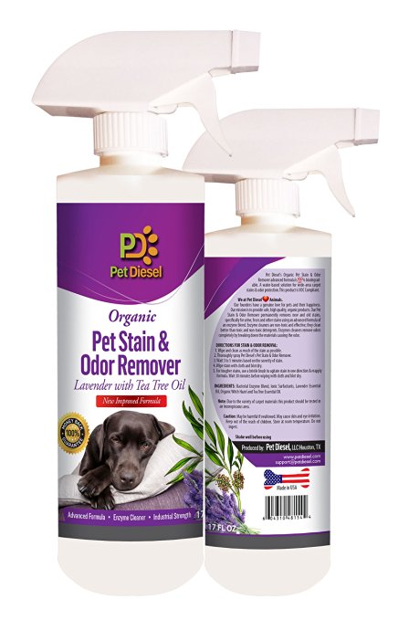 2 PACK Pet Stain & Odor Remover Spray By Pet Diesel - 2 Bottles x 17 oz Best Organic Enzyme Cleaner For Pet Odor Elimination & Dog, Cat Urine Stain Removal - Ideal For Wide Area Stains - 34 oz 100% GUARANTEED
