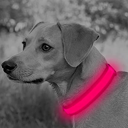 Illumifun USB Rechargeable LED Dog Collar - Mesh Webbing Glowing Pet Safety Collar - Adjustable Light Up Collars for Your Dogs Walking at Night (Small, Pink)