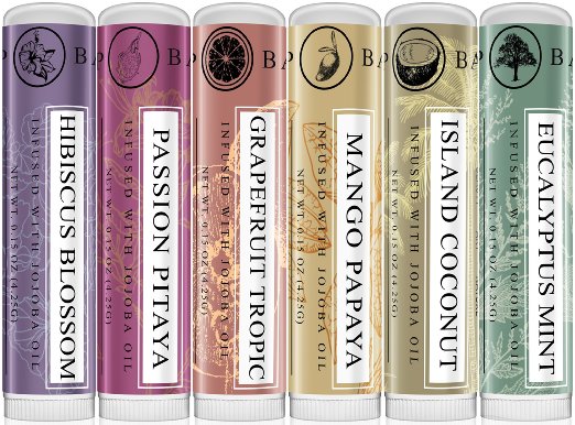 Art Naturals® 100% Natural Lip Balm Beeswax - 6 Pack Assorted Flavors 0.15 oz each - Best Chapstick for Dry, Chapped & Cracked lips - Lip Repair & Therapy with Aloe Vera, Coconut, Castor & Jojoba Oil