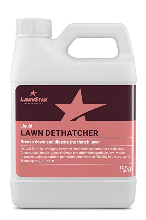 LawnStar Liquid Lawn Dethatcher (32 OZ) - Easy Alternative to Dethatch Rake & Mower - Digests Harmful Thatch Layer – Pair with Liquid Aerator - American Made