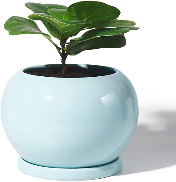 POTEY Planter Ceramic Plant Flower Pot - 5 Inch Large Indoor Glazed Container Bonsai with Drainage Hole Saucer - Large Space - Golbe,Turquoise