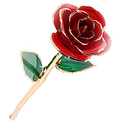 Mr.Pro Brand Authentic Long Stem Rose Dipped in 24K Gold, Real Rose Flower, Best Gift for Loves Ones. Ideal for Valentine's Day, Mother's Day, Anniversary and Birthday (Red)