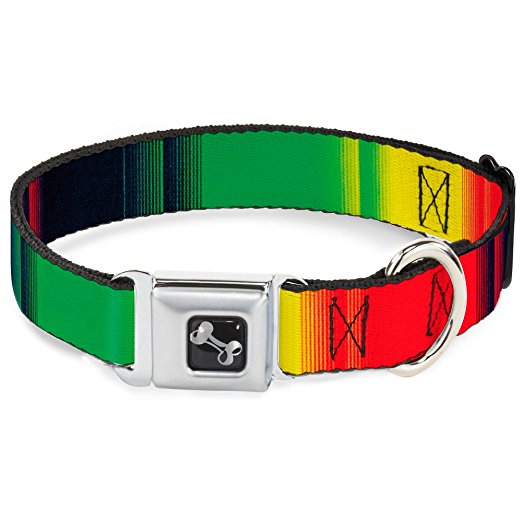 Buckle Down Seatbelt Buckle Dog Collar - Zarape5 Vertical Multi Color Stripe