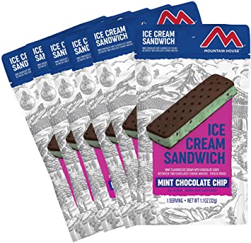 Mountain House Mint Chocolate Chip Ice Cream Sandwich | Freeze Dried Backpacking & Camping Food