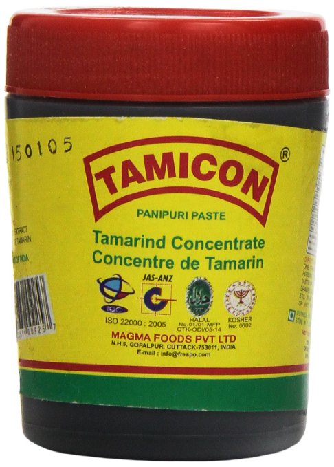 Tamicon Panipuri/Tamarind Paste, 8oz