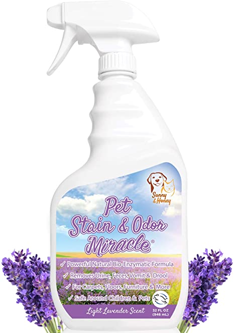 Pet Stain & Odor Miracle - Enzyme Cleaner for Dog and Cat Urine, Feces, Vomit, Drool (Light Lavender Scent, 32 FL OZ)