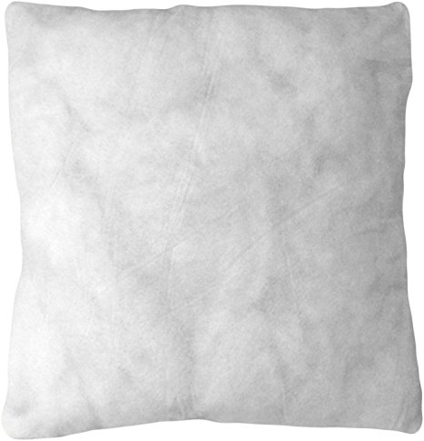 Decorative Pillow Throw pillow Insert 17x17"