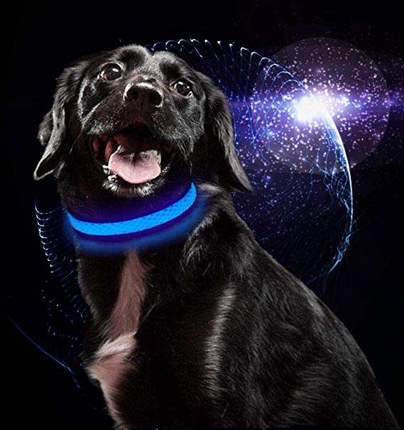 USB Rechargeable LED Dog Collar Flat Nylon Webbing Lighted Flashing Dog Collar Lights by MASBRILL Rechargeable Dog Collar LED Light-Up Safety Neck Loop (L, Blue)