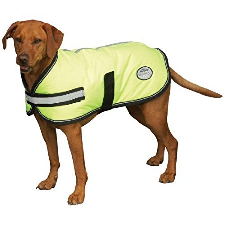 Weatherbeeta Reflective Dog Rug (Dog Coat)