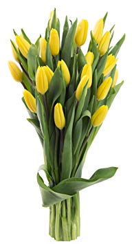 Blooms2Door 20 Yellow Tulips (Farm-Fresh Flowers, Cut-to-Order, and Homegrown in the USA) - Order by NOON THURSDAY 12:00PM EST to receive before Mother's Day!