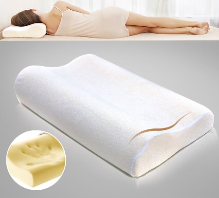 Dasein Premium Contour Memory Foam Pillow with Washable Fabric Cover - Small Size