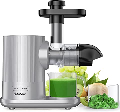 COSTWAY Slow Masticating Juicer Extractor with 95% of Juice Yield, Quiet Copper Motor, Reserve Function, Additional Brush, Juice Cup, Easy Clean Cold Press Juicer for Vegetables and Fruits (Sliver)