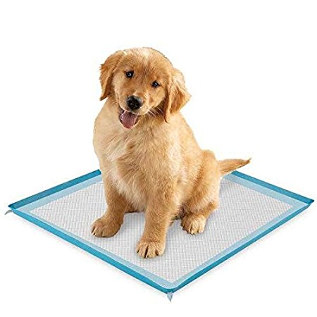 Select Companion Puppy Pee Pads with Scent Remover, 23 by 22 Inches – Pack of 100