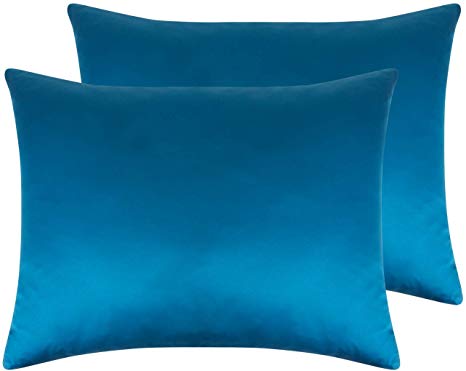 NTBAY Zippered Satin Pillowcases, Super Soft and Luxury Standard Pillow Cases Set of 2, 20 x 26 Inches, Royal Blue