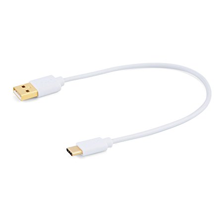 CableCreation USB-C to Standard USB 2.0 A Cable, 0.8 Feet - White