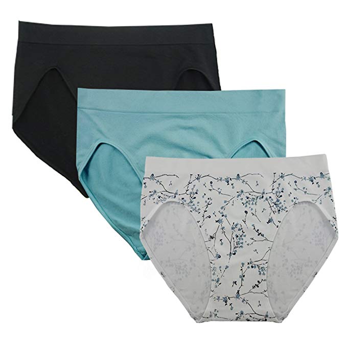 FEM Women's Underwear Seamless Briefs High-Cut Panties - 3 Pack or 4 Pack