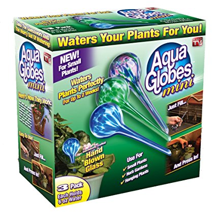 Aqua Globes AG071106 3-Count Mini Watering Globes