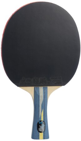 DHS Professional Quick-attack X Series Carbon Table Tennis Racket-shakehand