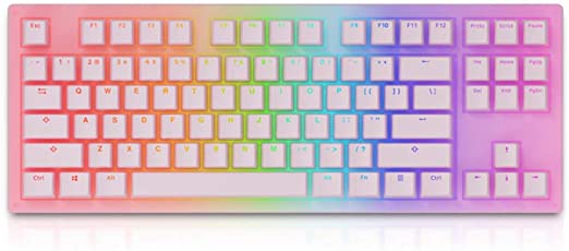 EPOMAKER AKKO Sakura 87 Keys RGB Wired Mechanical Keyboard with Acrylic Translucent Case, PBT Pudding Keycaps for Gaming/Mac/Win (Gateron Yellow Switch, Sakura)