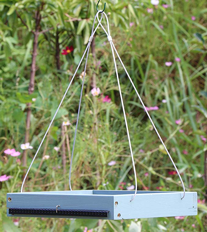 Gardirect Bird Platform, Wooden Tray Bird Feeder (Blue)