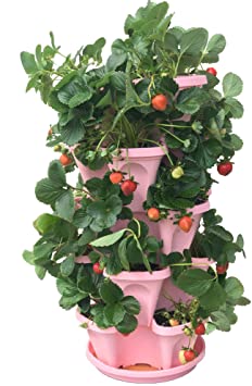 5-Tier Strawberry and Herb Garden Planter - Stackable Gardening Pots with 10 Inch Saucer