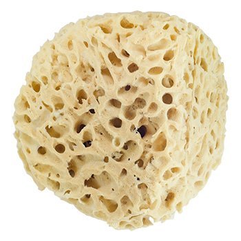 Handover : Natural Sea Sponge : Large Approx. 6- 6.5 in