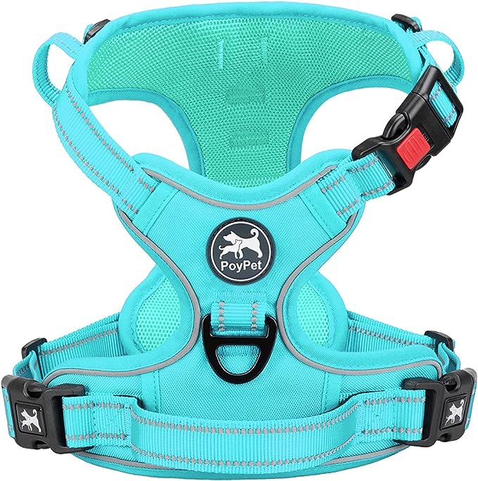 PoyPet No Pull Dog Harness, No Choke Reflective Dog Vest, Adjustable Pet Harnesses with Easy Control Padded Handle for Small Medium Large Dogs(Mint Blue Matching Trim,XS)