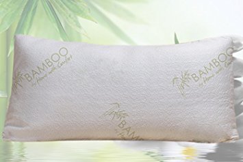 Bamboo Pillow | Shredded Memory Foam and Stay Cool Removable Cover | Queen | Hypoallergenic and Dust Mite Resistant | Best Pillow for Stomach, Back, and Side Sleepers | Home With Comfort (Queen)