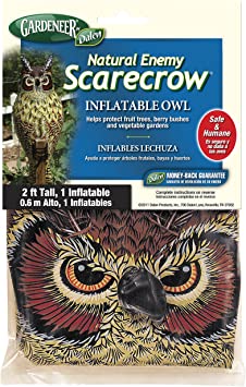 Gardeneer By Dalen Natural Enemy Scarecrow Inflatable Owl