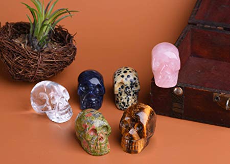 AMOYSTONE Mini Human Skull Statue Figurines Mix Natural Healing Crystals Stones 6Pcs Crafts