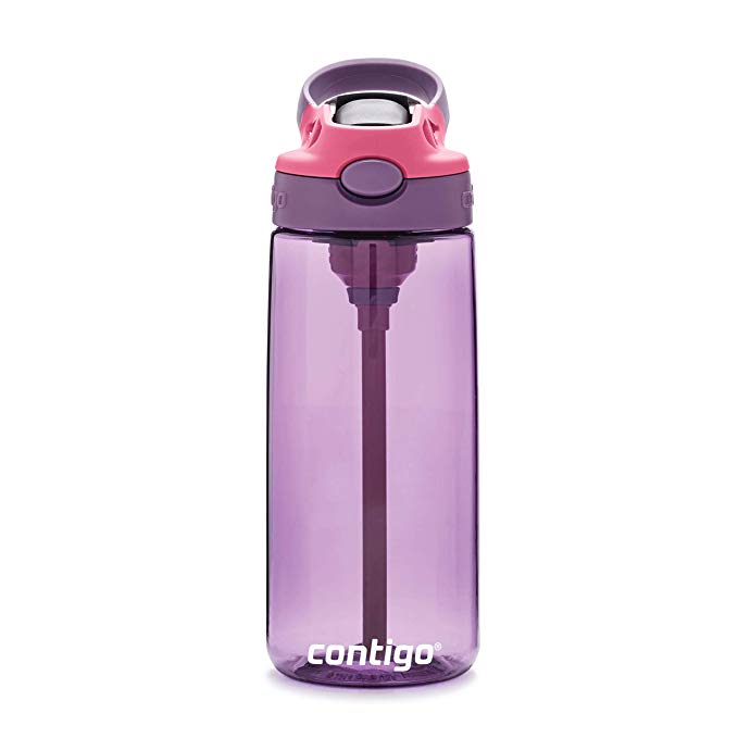 Contigo 2063376 AUTOSPOUT Straw Water Bottle, 20 oz, Eggplant & Punch