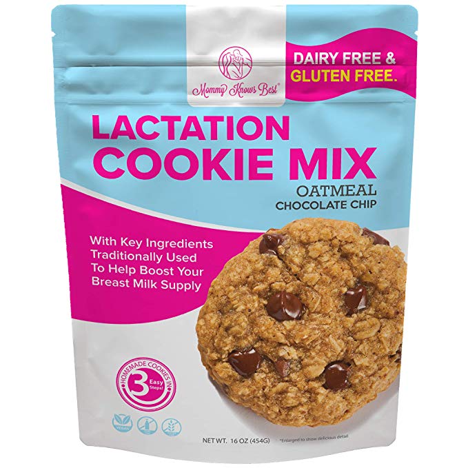 Lactation Cookies Mix - Gluten Free & Dairy Free Cookie Breastmilk Support Supplement - Chocolate Chip 16oz
