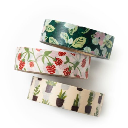 Washi tape set - new leaf - value pack - DIY - packaging - decorative tape - apple farm - raspberry - cactus - Love My Tapes