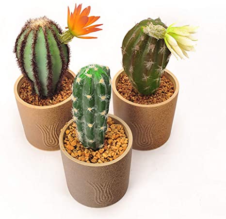 BEGONDIS Set of 3 Artificial Cactus Succulents Plants in Ceramic Pots, Assorted Green Decorative Faux Succulent Mini Cacti