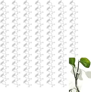 Yosoo 100PCS Plant Climbing Wall Fixture,Wall Vines Fixing Clip,Self Adhesive Branch Fixture Securing Clip,for Growing Supports for The Garden,Balcony,Greenhouse,or Indoor Plants(White)