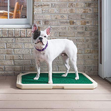 Piddle Place 30-1/4-Inch by 19-1/4-Inch by 1-3/4-Inch Pet Relief System Base Unit with Removable Turf Pad