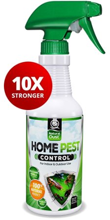 Natural Oust Organic Home Pest Control Spray - Kills & Repels, Ants, Roaches, Spiders, and Other Pests Guaranteed - All Natural Insect Killer - Child & Pet Safe - Indoor/Outdoor Spray, 16oz
