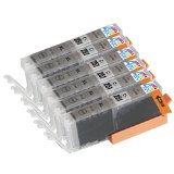 6 Pack - Compatible Ink Cartridges for Canon CLI-251 XL Gray Inkjet Cartridge Compatible With Canon PIXMA MG-5450 MG-5520 MG-6320 MG-6350 MG-6420 MG-7120 MG-7150 iP7250 iP8720 iP8750 6 Gray Ink and Toner 4 You