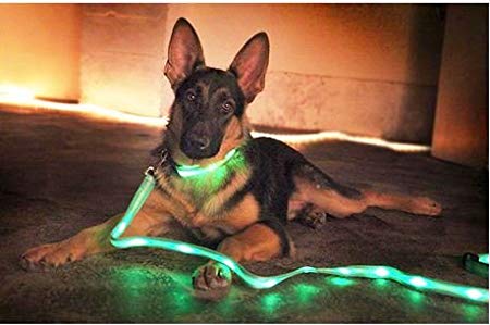 Comfort LED Lit Dog leash for small and medium sized dogs with collar and leash Easy adjustable and comfortable