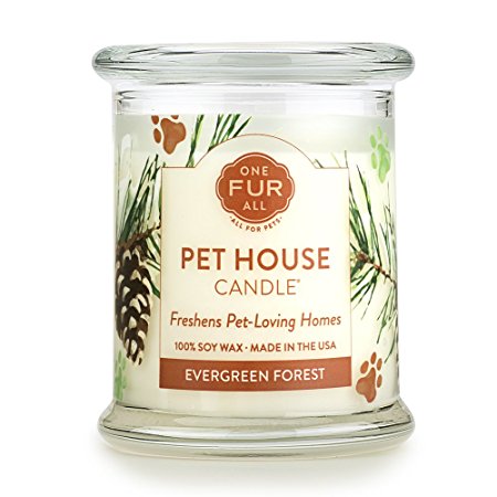 Pet House Candle - Evergreen Forest - CLICK TO SEE ALL 15 FRAGRANCES - Natural Soy Wax - Long-lasting - Pet Smell Remover - Dog Gift - Pet Odor Eliminating Candle - Cat Gift