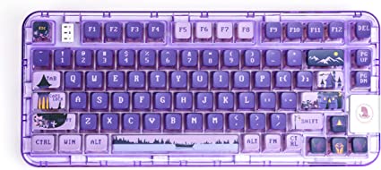 EPOMAKER CoolKiller CK75 75% Transparent Gasket Hot Swap RGB Bluetooth/2.4Ghz Wireless/Type-C Wired Gaming Keyboard with KSA Profile PBT Keycaps, Compatible with Win/Mac/Android(Purple,Clove Switch)