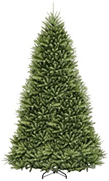 National Tree 12 Foot Dunhill Fir Tree, Hinged (DUH-120)