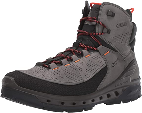 ECCO Men's Biom Venture Tr Gore-tex Hiking Boot