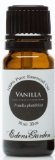 Vanilla 100 Pure Therapeutic Grade Essential Oil- 10 ml