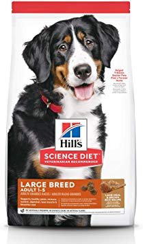 Hill's Science Diet Adult Large Breed Lamb Meal & Brown Rice Recipe Dry Dog Food, 33 lb Bag