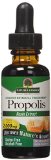 Natures Answer Alcohol-Free Propolis Resin 1-Fluid Ounce